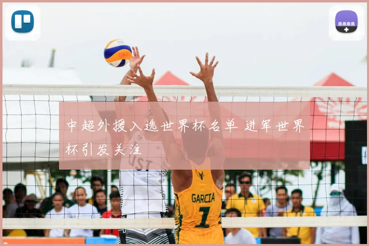中超外援入选世界杯名单 进军世界杯引发关注