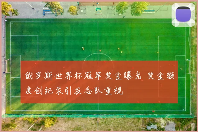 俄罗斯世界杯冠军奖金曝光 奖金额度创纪录引发各队重视