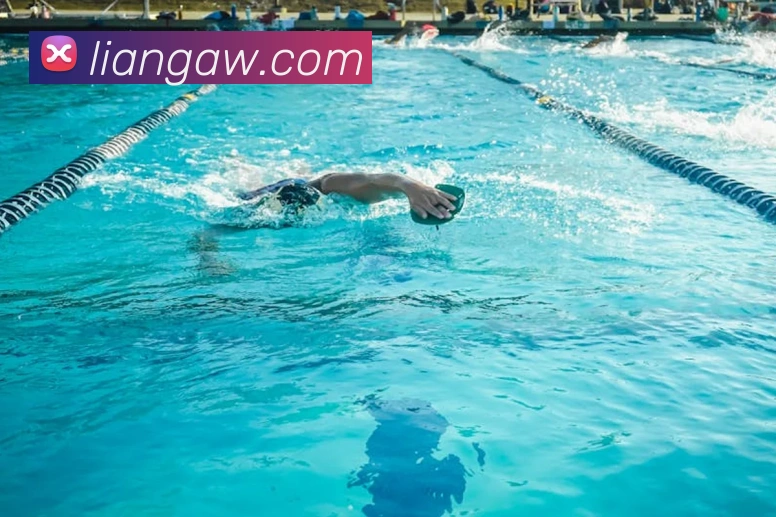 开云官方登录APP 封面图